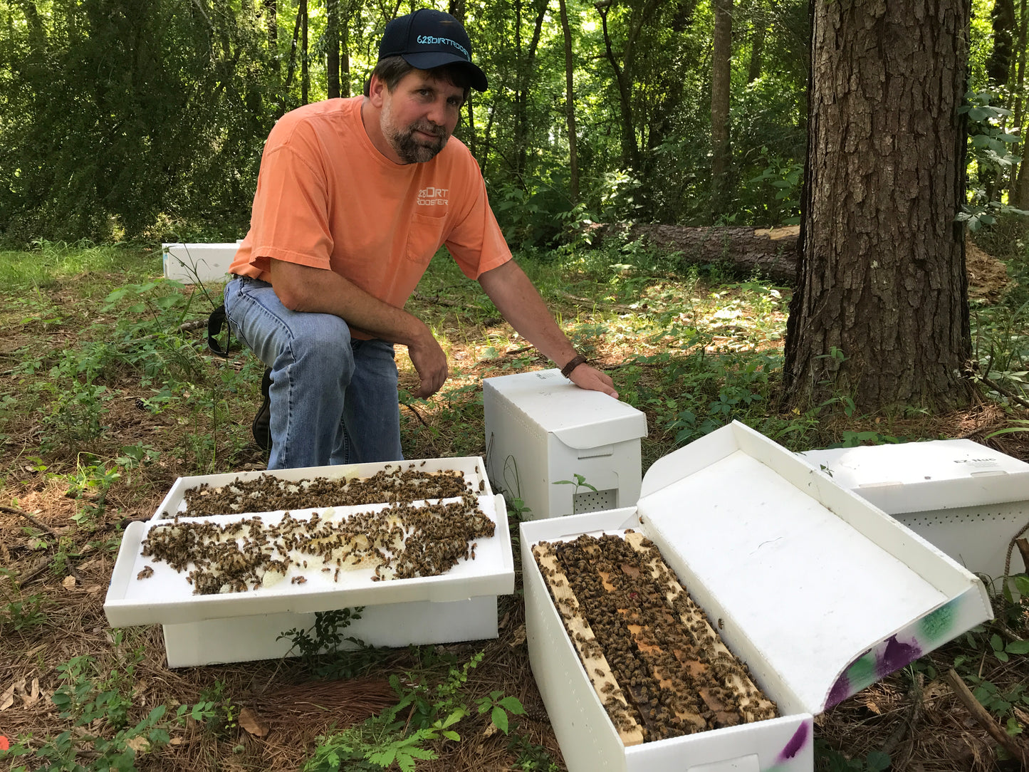 2025 Honey Bee Nucleus Colonies- NUC Order